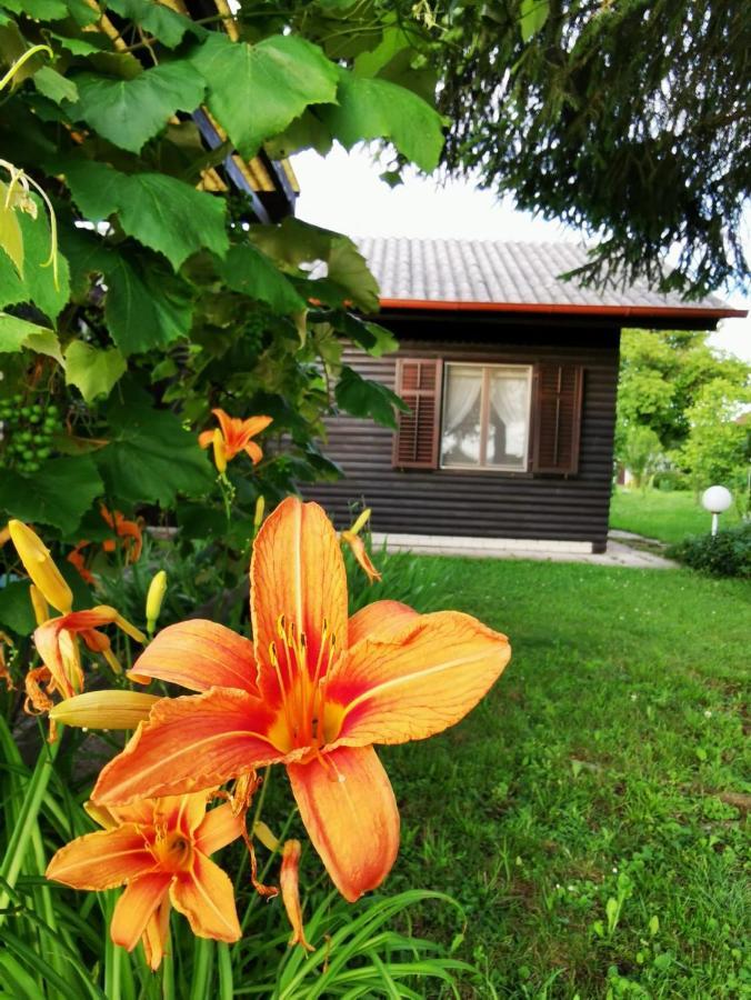 Merikotka - A Cozy Wooden Cottage, Slovenia Braslovce Dış mekan fotoğraf