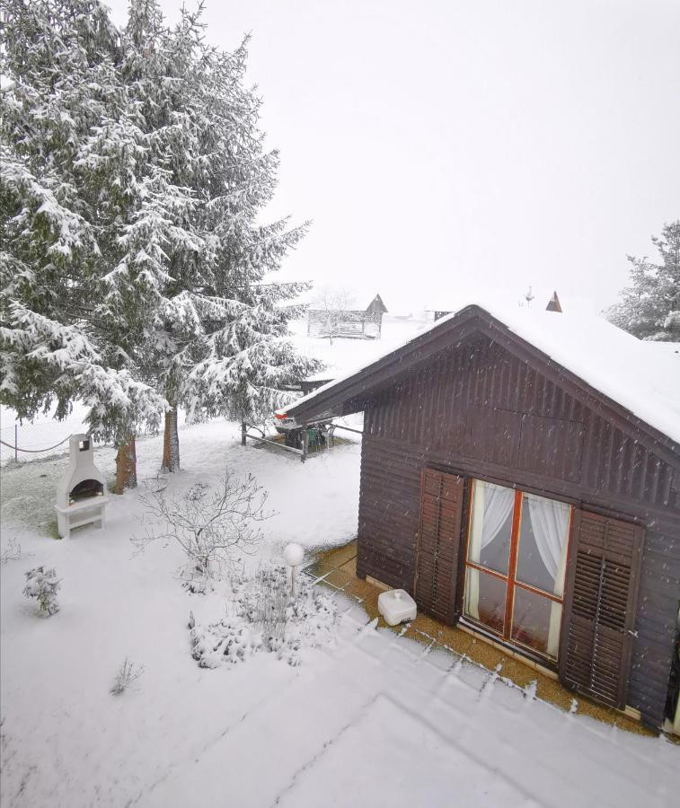 Merikotka - A Cozy Wooden Cottage, Slovenia Braslovce Dış mekan fotoğraf