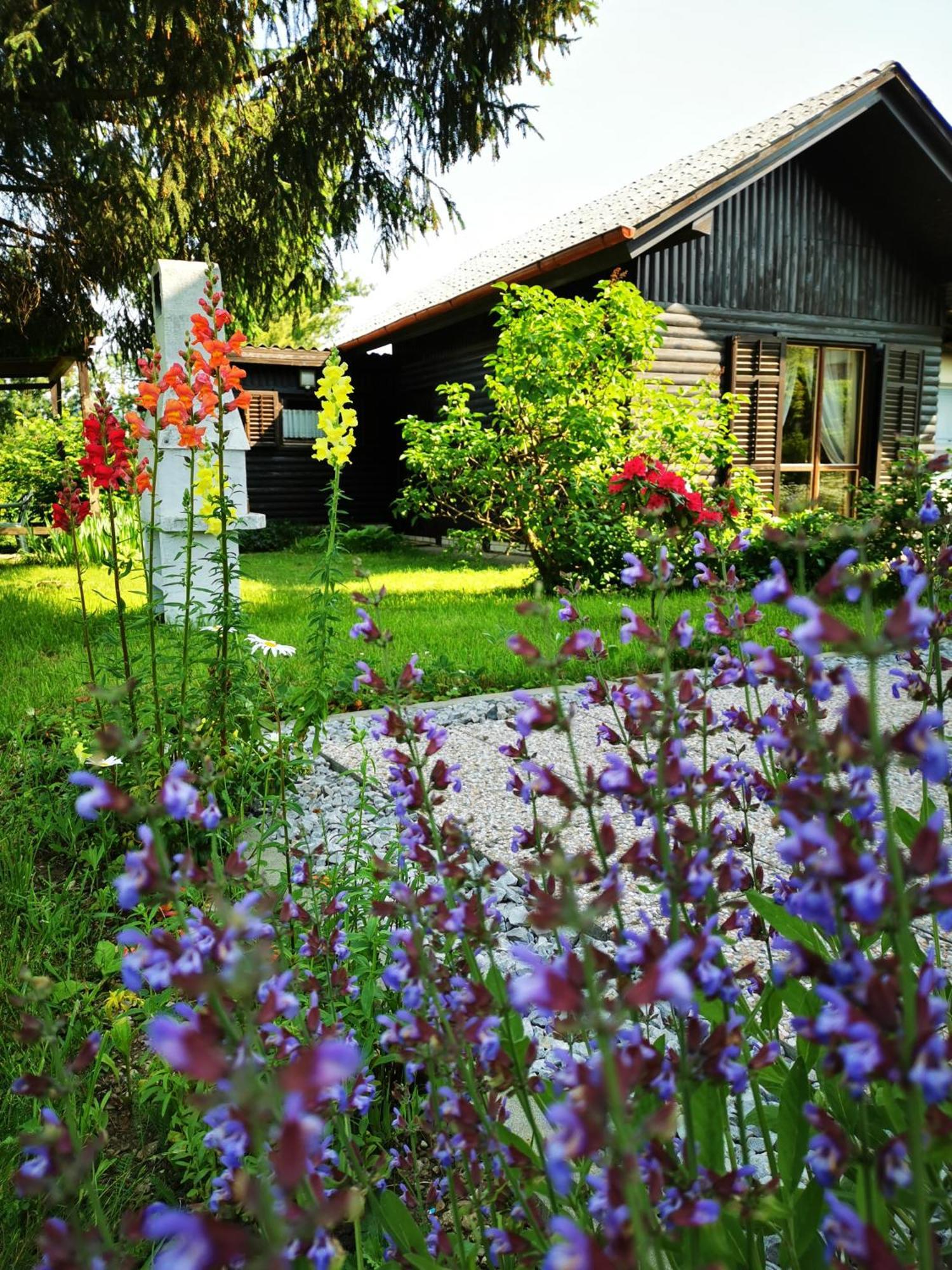 Merikotka - A Cozy Wooden Cottage, Slovenia Braslovce Dış mekan fotoğraf