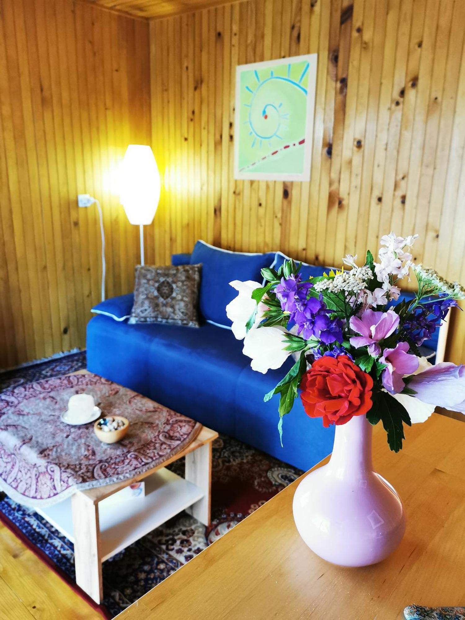 Merikotka - A Cozy Wooden Cottage, Slovenia Braslovce Dış mekan fotoğraf