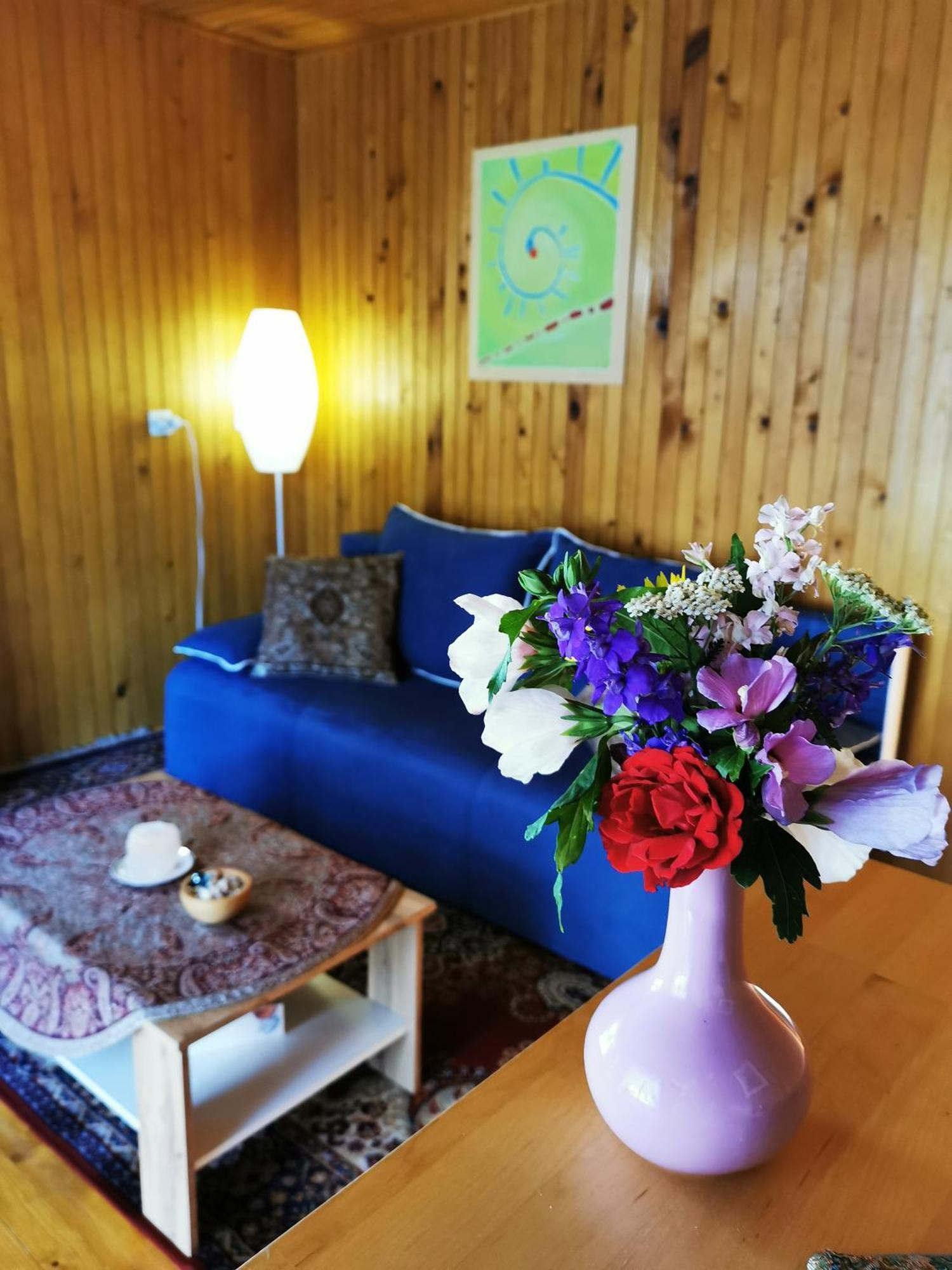 Merikotka - A Cozy Wooden Cottage, Slovenia Braslovce Dış mekan fotoğraf