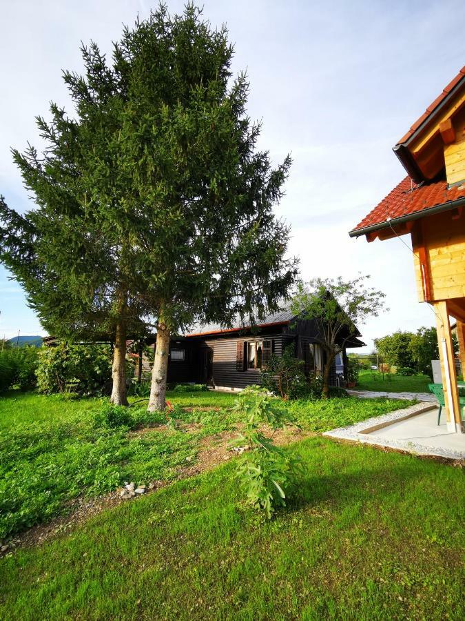 Merikotka - A Cozy Wooden Cottage, Slovenia Braslovce Dış mekan fotoğraf
