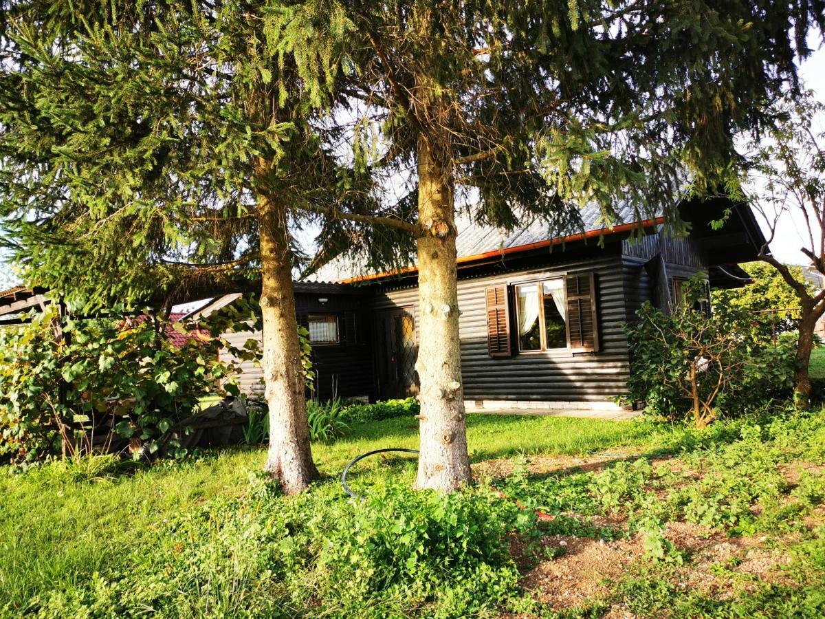 Merikotka - A Cozy Wooden Cottage, Slovenia Braslovce Dış mekan fotoğraf